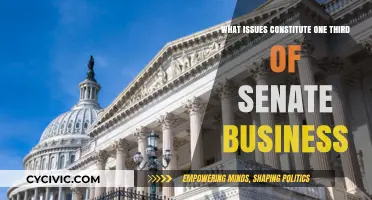 Senate Business: Issues at the Heart of Lawmaking