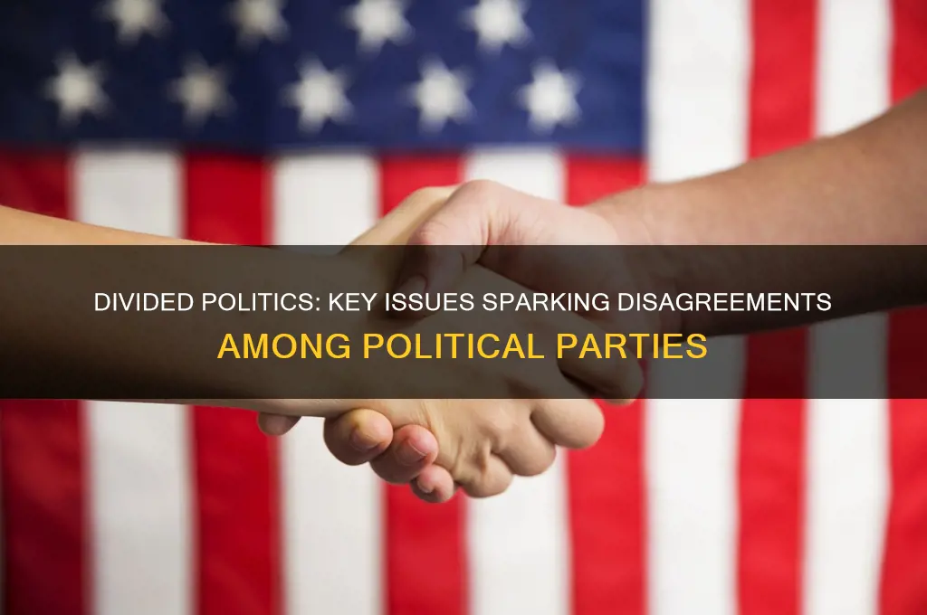 what issues did the political parties disagree
