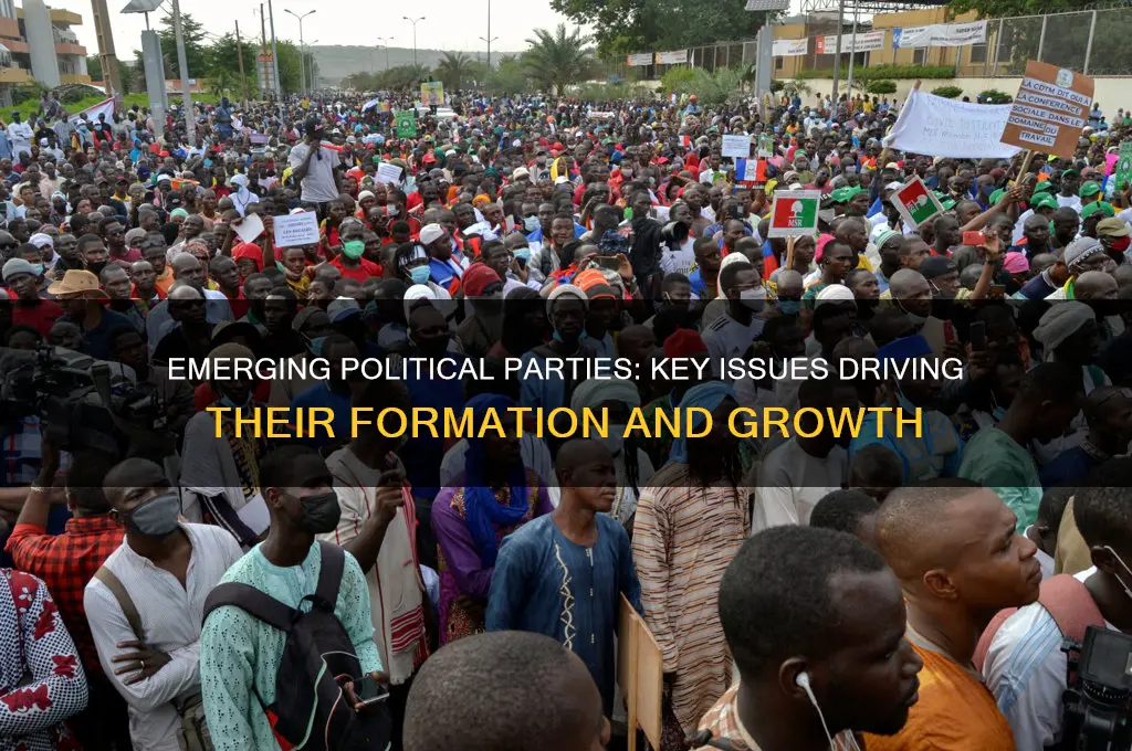 what issues motivated new political parties