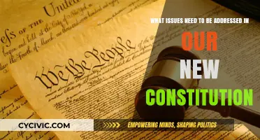 Crafting a Constitution: Addressing Key Issues