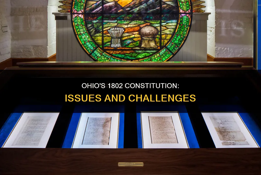 what issues were in the 1802 ohio constitution