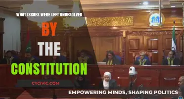 Unaddressed Constitutional Issues: What's Left Unresolved?