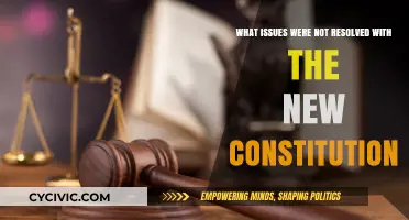 Lingering Issues: The Constitution's Unresolved Problems