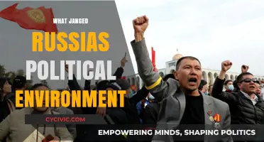 What Jangled Russia's Political Environment: Key Factors and Impacts