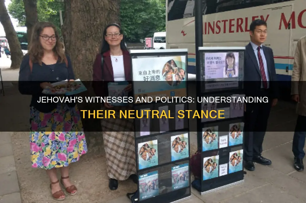 what jehovah witness believe politics