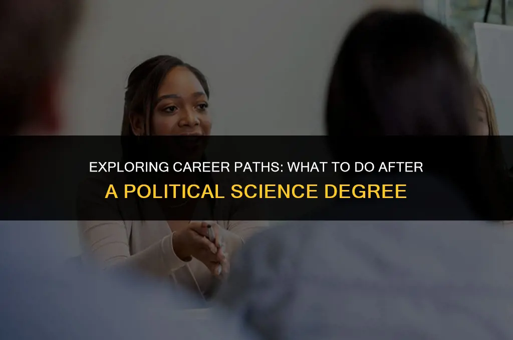 what job after political science degree