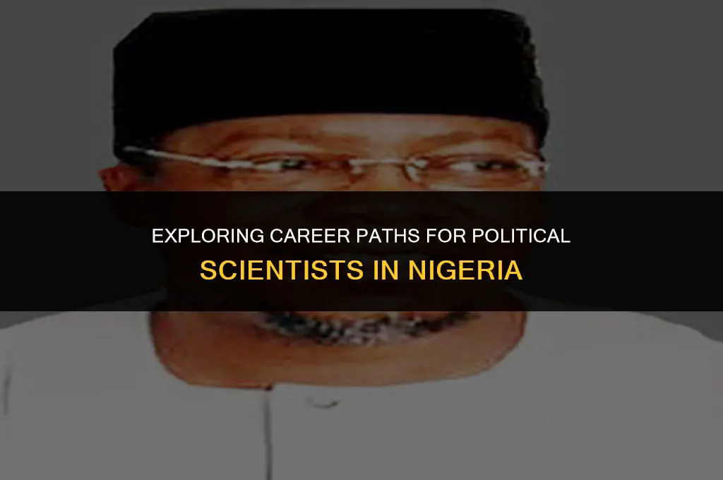 what job can a political scientist do in nigeria
