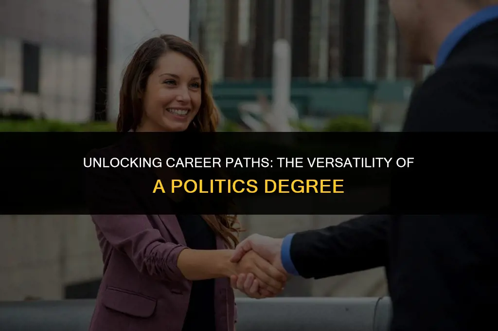 what job can you get with a politics degree