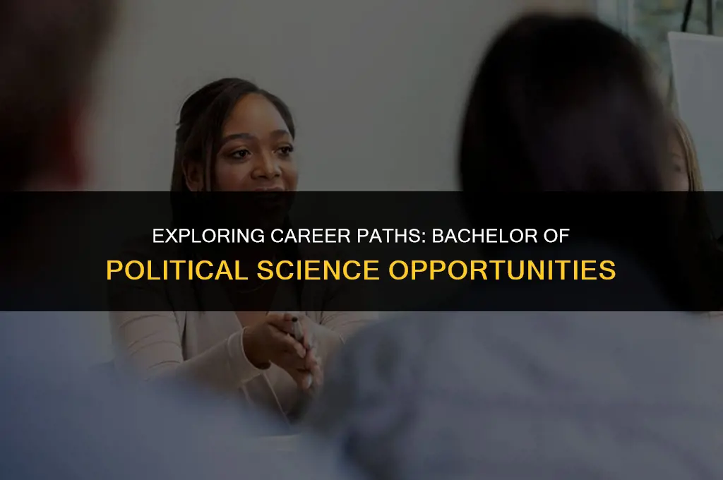 what job to look for with bachelor of political science