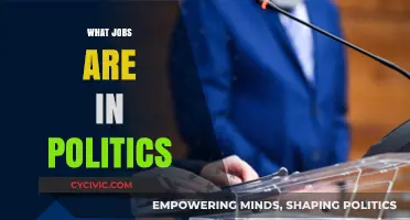 Exploring Diverse Careers in Politics: Roles, Responsibilities, and Impact