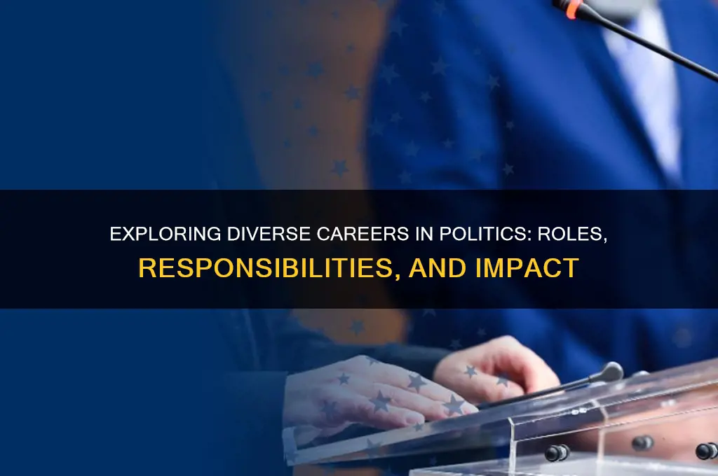 what jobs are in politics