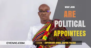 Understanding Political Appointees: Roles, Responsibilities, and Impact on Governance