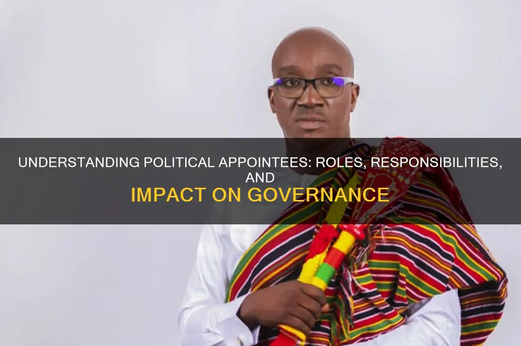 what jobs are political appointees