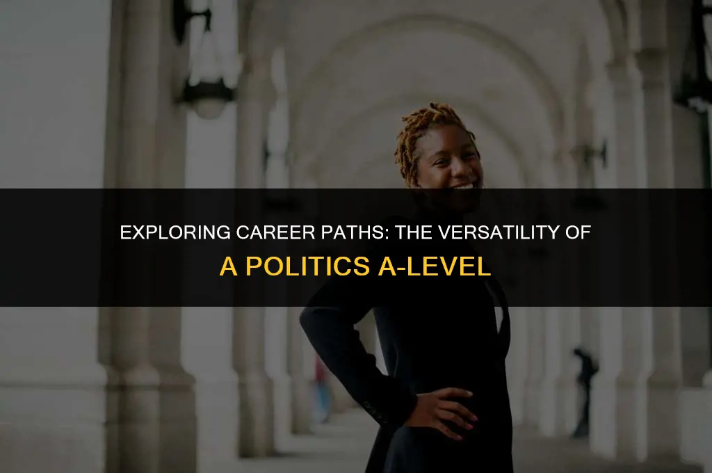 what jobs can you do with politics a level