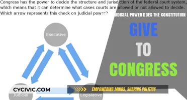 Congress' Judicial Powers: Constitutional Insights