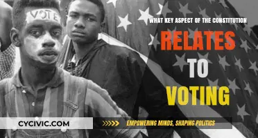 The Constitution's Voting Rights: A Key Aspect Explored