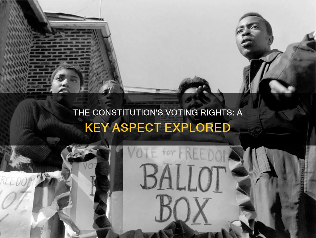 what key aspect of the constitution relates to voting