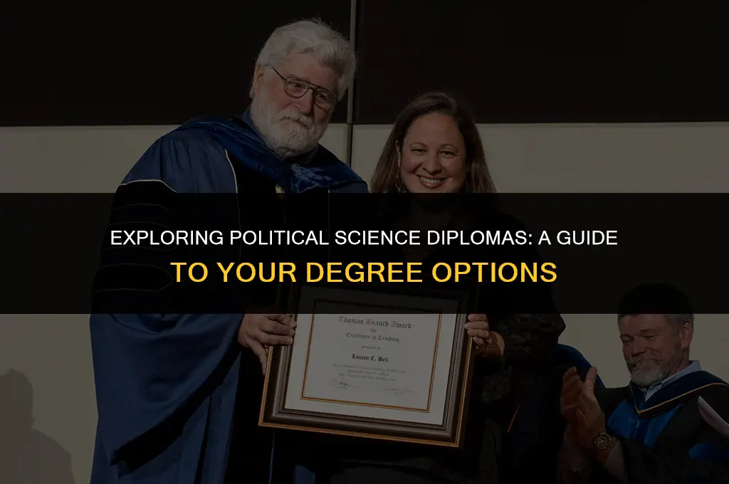 what kind of a diploma in political science degree