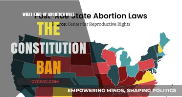 The Constitution and Abortion: What's Banned?