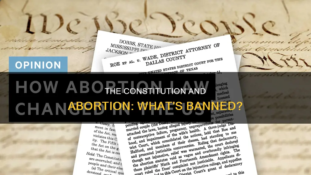 what kind of abortion does the constitution ban
