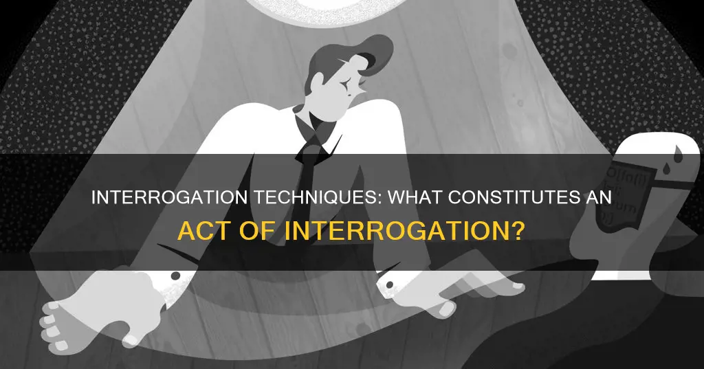 what kind of acts would constitute an interrorgation