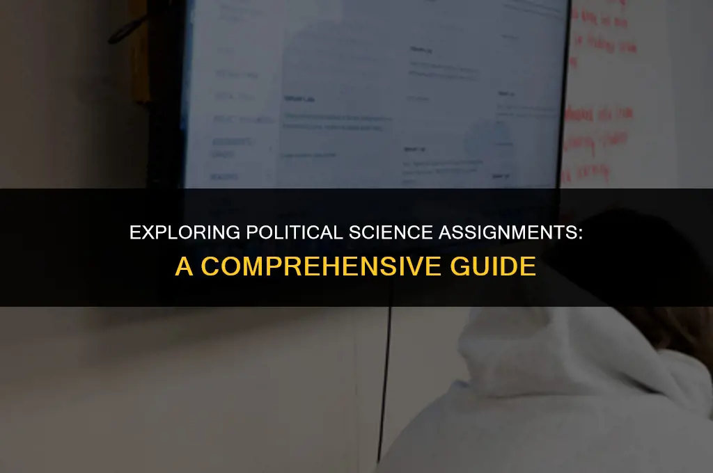 what kind of assignments are given for political science