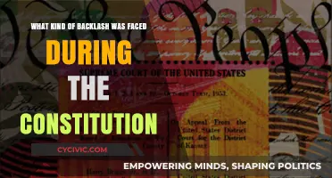 Backlash and Resistance: Constitution's Controversial Journey