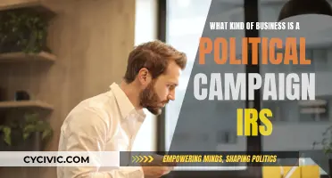 Political Campaigns: Business or Not?