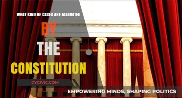 Constitutional Cases: Exploring the Mandate