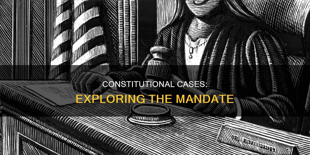 what kind of cases are mandated by the constitution