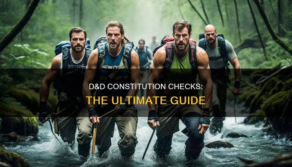 what kind of constitution checks are in dnd