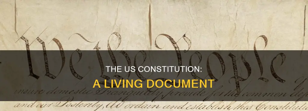 what kind of constitution does the us have