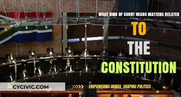 Court Jurisdiction: Matters of Constitution