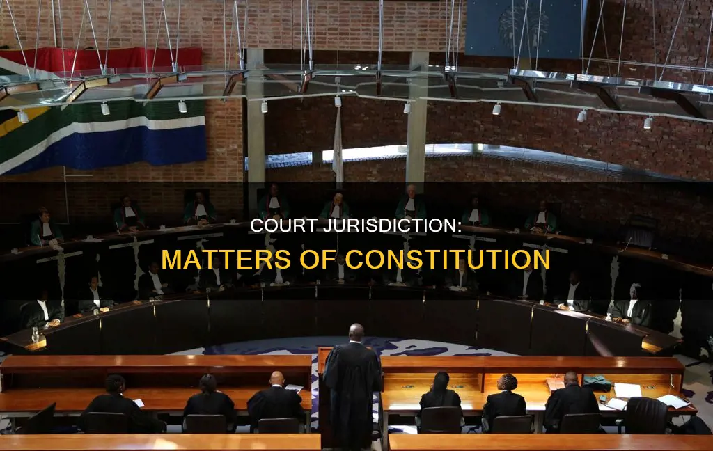 what kind of court hears matters related to the constitution