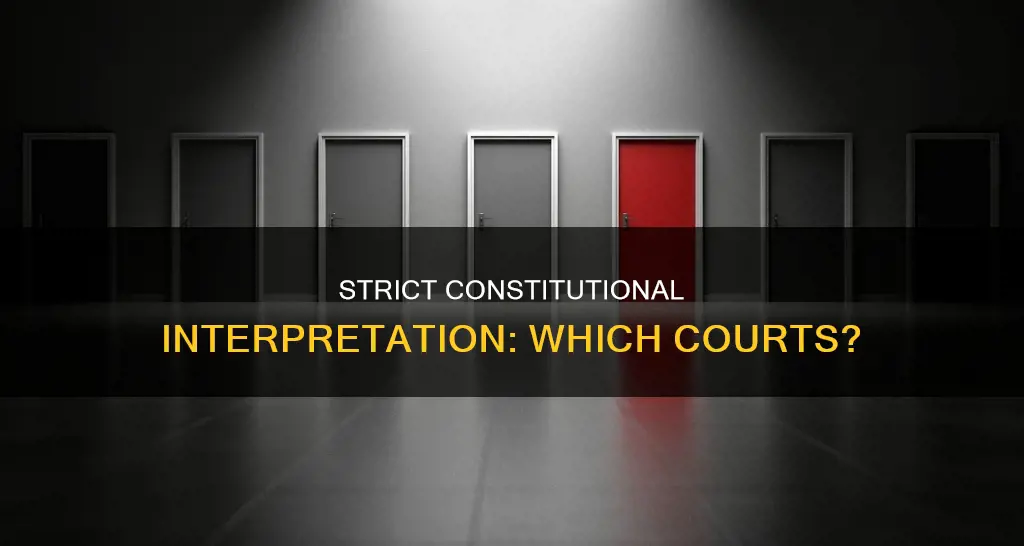 what kind of court interpret the constitution literally