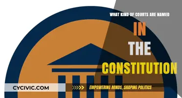 The Constitution's Court System: What's in a Name?