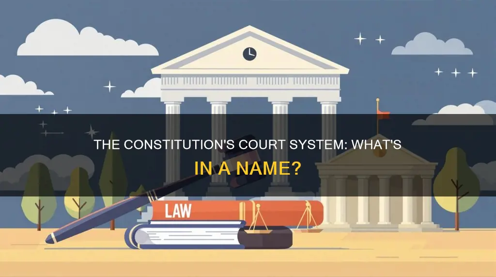 what kind of courts are named in the constitution