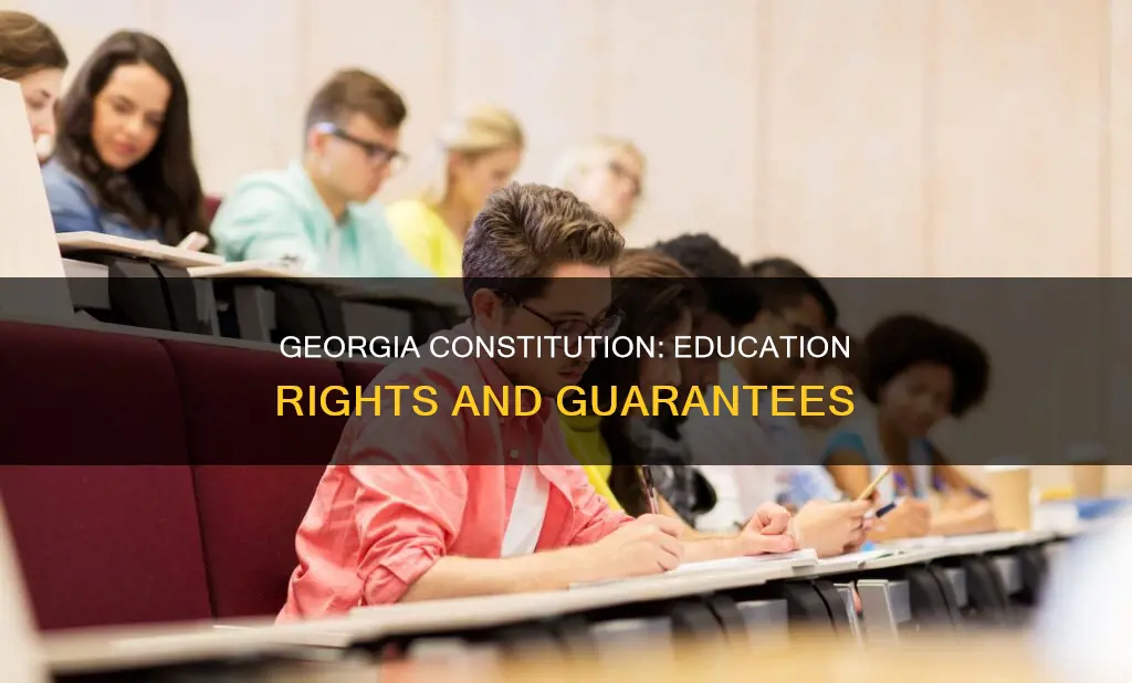 what kind of education does the georgia constitution guarantee