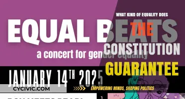 Equality in the Constitution: What Kind?