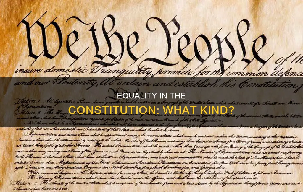what kind of equality does the constitution guarantee