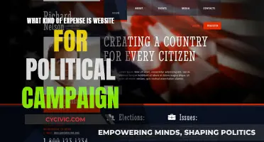 Political Campaign Websites: Effective Expense or Wasteful Spending?