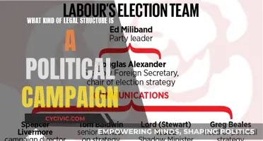 Political Campaigns: Legal Structures and Their Implications