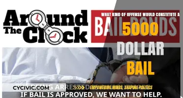 Bail at $5000: What Offenses Constitute This Amount?