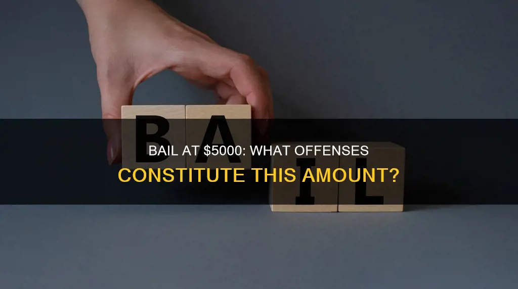what kind of offense would constitute a 5000 dollar bail