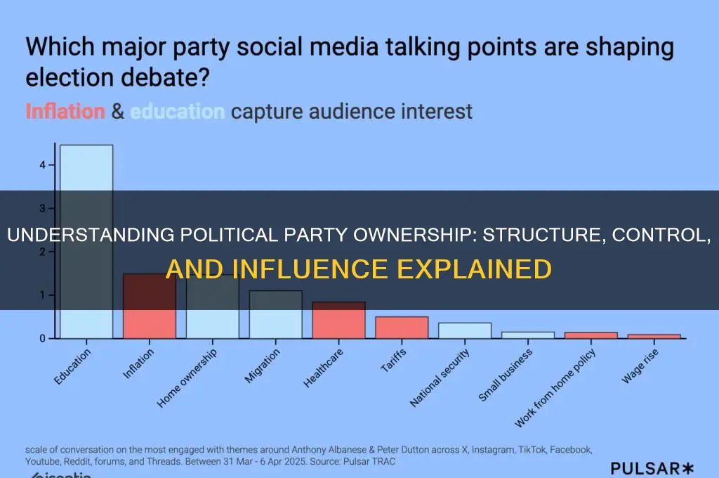 what kind of ownership is a political party