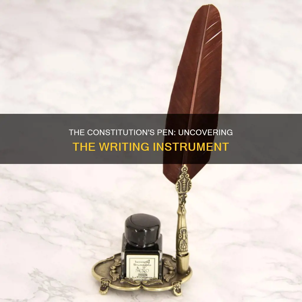 what kind of pen was used to write the constitution