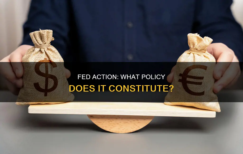 what kind of policy does this fed action constitute