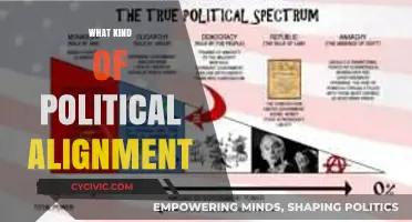 Understanding Political Alignments: A Comprehensive Guide to Ideological Spectrums