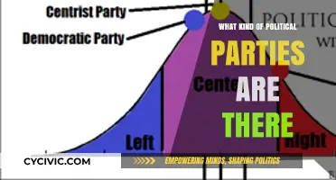 Exploring the Diverse Spectrum of Political Parties Worldwide