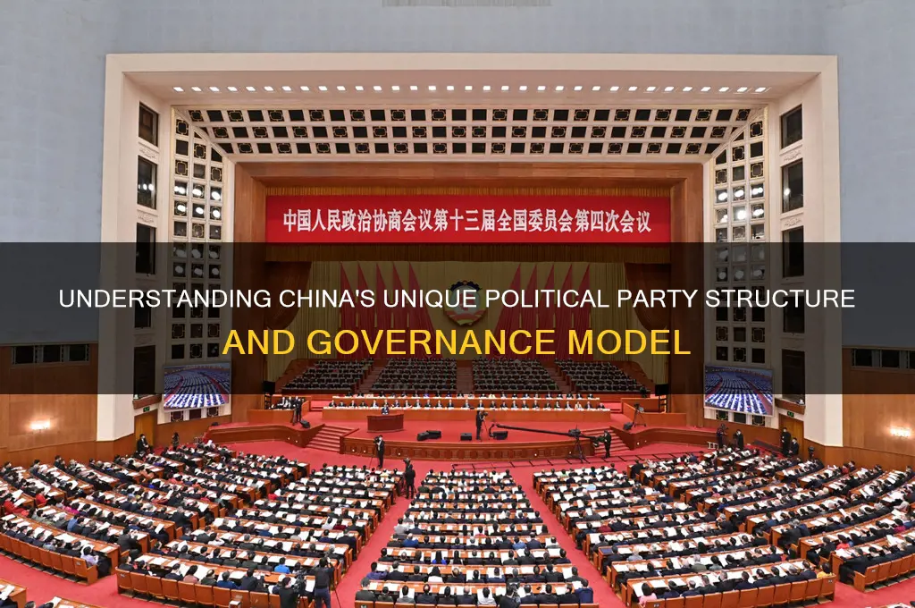 what kind of political party is china